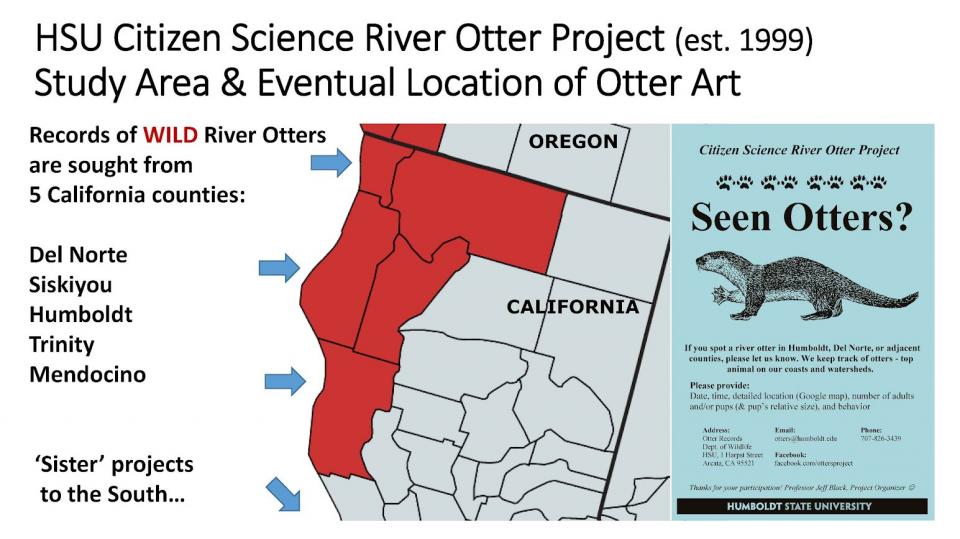 Humboldt River otter Project (est. 1999)